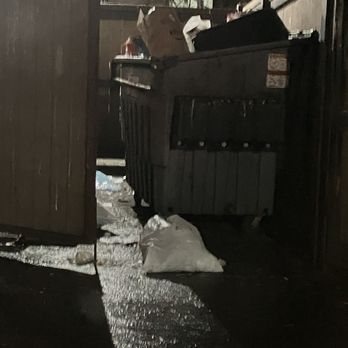 ReNew Water's Edge - Garbage overflowing from dumpster into parking lot (happens almost every single day!) - Apartments Near Me - Kent, Washington