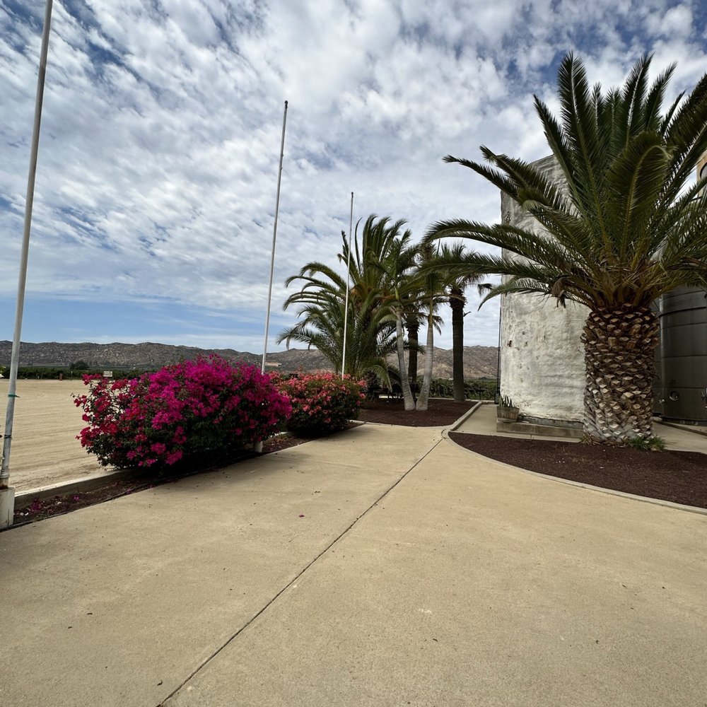 LA Cetto - Wineries Near Me - Valle de Guadalupe, BCN