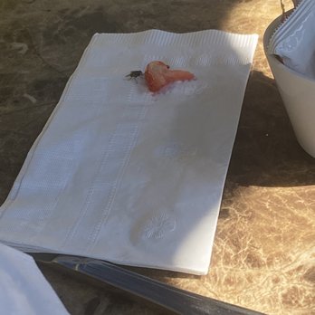 Ocean View Café - Sharing my strawberry with a fly. - Breakfast & Brunch Near Me - Manhattan Beach, California Ocean View Café - Sharing my strawberry with a fly. - Breakfast & Brunch Near Me - Manhattan Beach, California