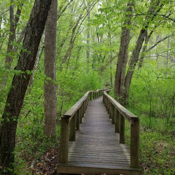 Bear Creek Lake State Park - Parks Near Me - Cumberland, Virginia Bear Creek Lake State Park - Parks Near Me - Cumberland, Virginia