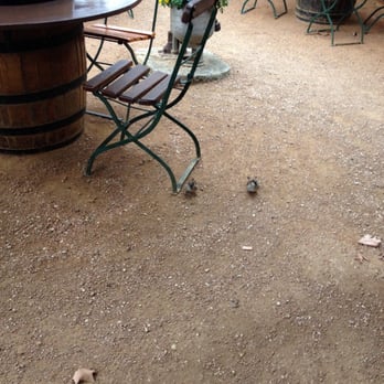 Altdorf Biergarten - A place to take friends for lunch. - German Near Me - Fredericksburg, Texas Altdorf Biergarten - A place to take friends for lunch. - German Near Me - Fredericksburg, Texas