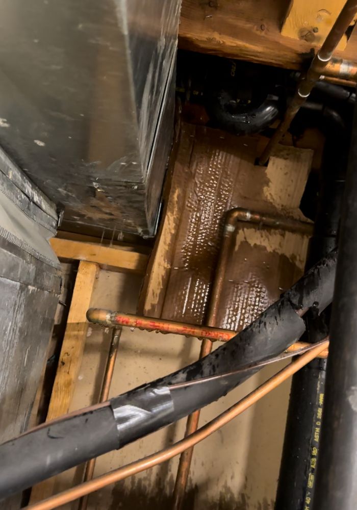 Progress Residential - property management company in Peoria, AZ