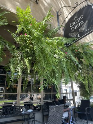 Carpe Diem Cafe & Wine Bar by null