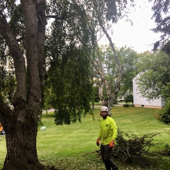 Tony's Tree Service & Landscaping - Tree service guy - Tree Services Near Me Tony's Tree Service & Landscaping - Tree service guy - Tree Services Near Me