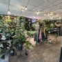 Photo of The Wicked Plant