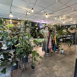 The Wicked Plant