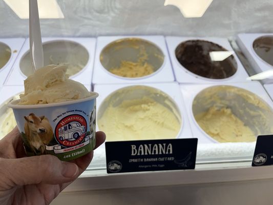 Homestead Creamery by null