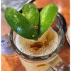 Casa Mexicana Of Spring Hill gift card