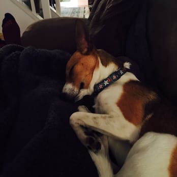 One Tail at a Time - Love :) - Animal Shelters Near Me - Chicago, Illinois