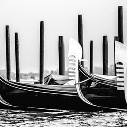Boca Raton Travel & Cruises - Emblem of Venice - Venice, Italy