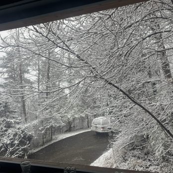 Red River Gorge - Snowy day - Hiking Near Me - Stanton, Kentucky