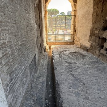 Colosseum - Landmarks & Historical Buildings Near Me - Rome, RM Colosseum - Landmarks & Historical Buildings Near Me - Rome, RM