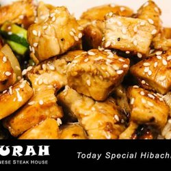 Surah Japanese Steakhouse - Today special