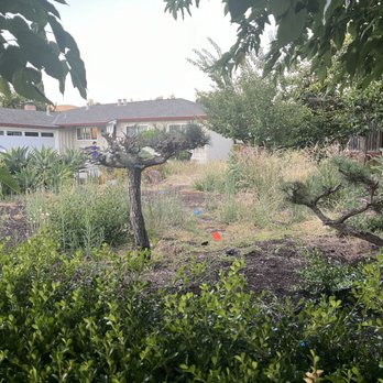 ADORE Homes - Original land - Home Developers Near Me - Campbell, California