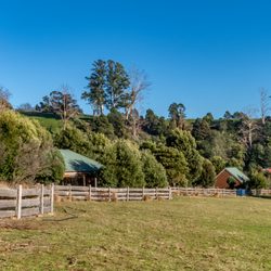 Tin Dragon Trail Cottages - Tin Dragon Cottages sit above the Ringarooma River in Branxholm, Tasmania