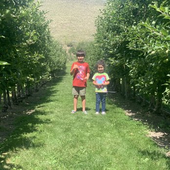 Horsting's Farm Market - Farmers Market Near Me - Cache Creek, British Columbia