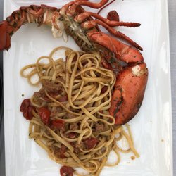 Ardea Purpurea - Mein Essen :)