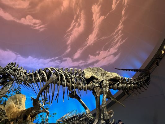 The Children's Museum of Indianapolis by null