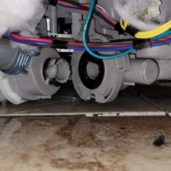 JD's Appliance Repair - If you have rodents, get rid of them first. Or you may be calling me back