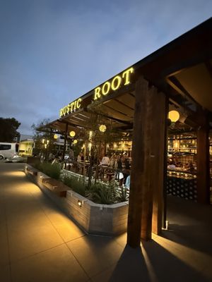 Rustic Root by null
