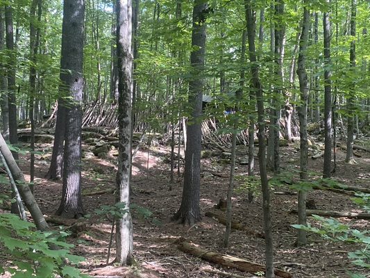 OTTER CREEK GORGE TRAIL - Updated October 2024 - Belden Falls Rd, New