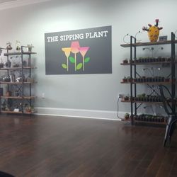 The Sipping Plant