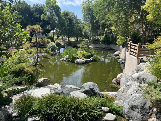 Japanese Garden by null