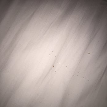 Ameristar Black Hawk - Crumbs from previous occupant???!!?!! - Casinos Near Me - Black Hawk, Colorado