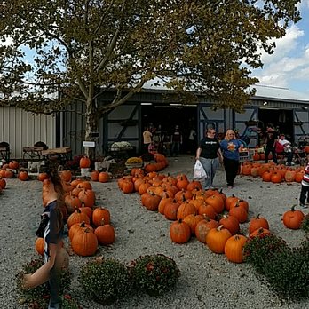 Windmill Farm Market - Fruits & Veggies Near Me - Springboro, Ohio Windmill Farm Market - Fruits & Veggies Near Me - Springboro, Ohio