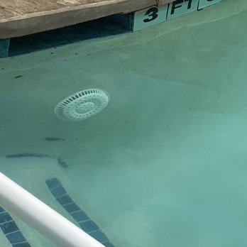 Berkshire Lakeway Apartments - Disgusting pool wall filth from 7/1/23 - Apartments Near Me - Lakeway, Texas Berkshire Lakeway Apartments - Disgusting pool wall filth from 7/1/23 - Apartments Near Me - Lakeway, Texas