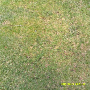 Tough Greens Lawn Care - Lawn Services Near Me Tough Greens Lawn Care - Lawn Services Near Me