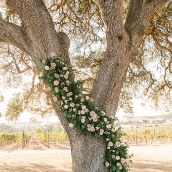 True Vine Studio - Florists Near Me True Vine Studio - Florists Near Me