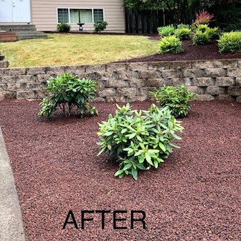 Tony's Landscaping - Right side - after - Tree Services Near Me Tony's Landscaping - Right side - after - Tree Services Near Me