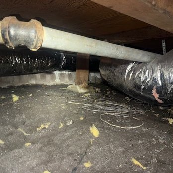 Pro Insulation & Rodents - Insulation Installation Near Me