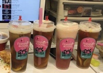 Flamingo Bloom, TST by null