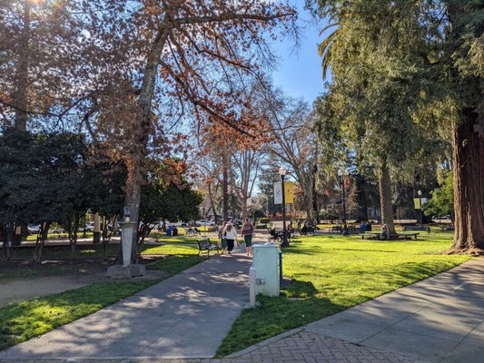 Healdsburg Plaza by null