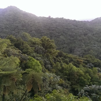 Casa Cubuy Ecolodge - View from our balcony.....amazing. - Bed & Breakfast Near Me - Río Blanco, Puerto Rico