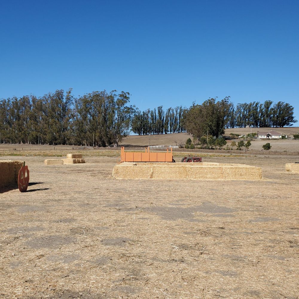 A view from the farm, pumpkins are in the distance. A view from the farm, pumpkins are in the distance.