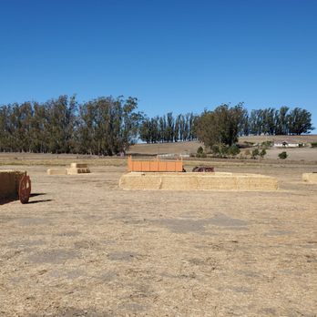 The Great Peter Pumpkin Patch - A view from the farm, pumpkins are in the distance. - Pumpkin Patches Near Me - Petaluma, California