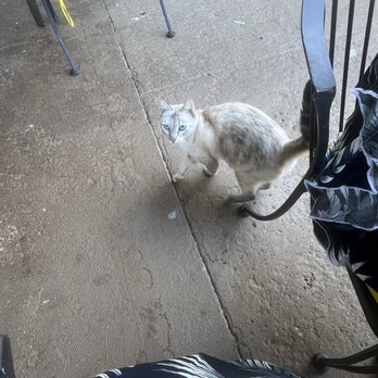 Lilikoi Lounge - Kitty Whisper - Breakfast & Brunch Near Me - Waianae, Hawaii