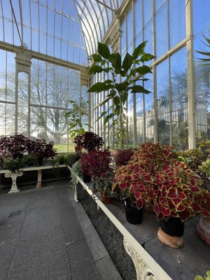 National Botanic Gardens by null