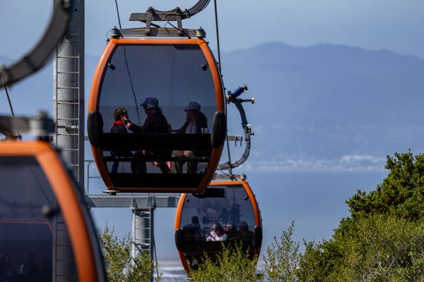 Oakland Zoo by null