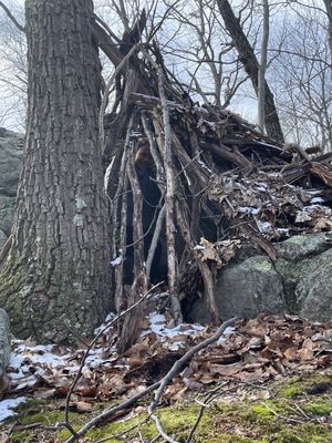 Cranberry Lake Preserve by null