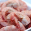 Lady Jane Shrimp Excursion gift card