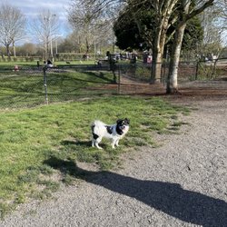Hondo Dog Park - Gate blocking off small dog park from mixed size park. My small dog seems to like the mixed one more. We have seen small dogs in here too.