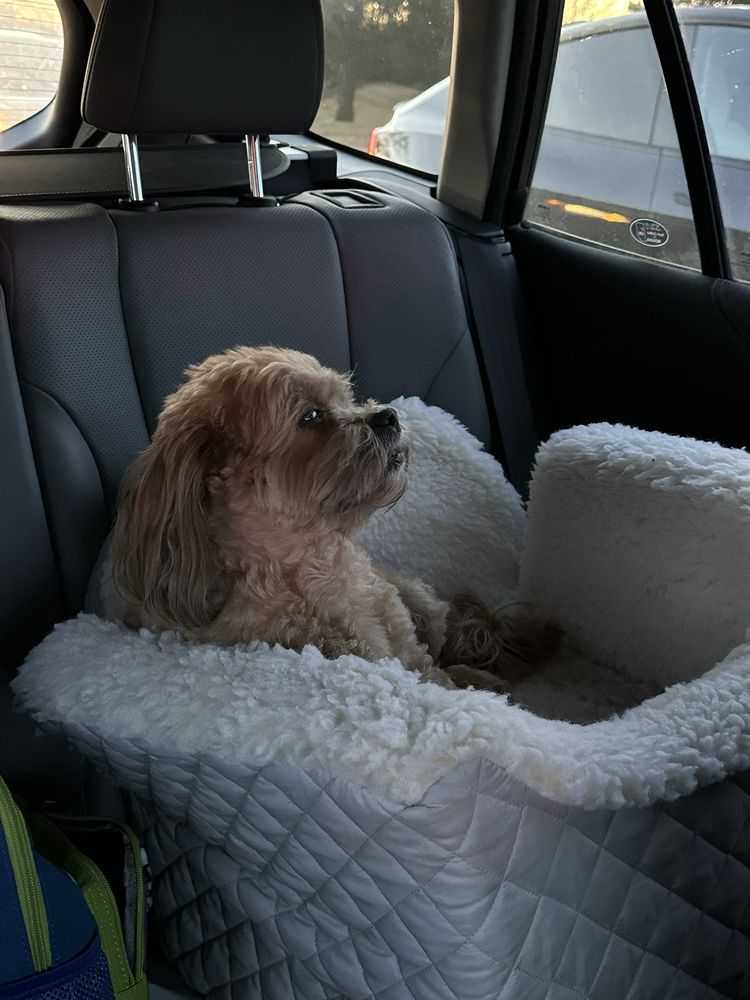 Sue's Dog House, A home kennel - pet boarding facility in Northbrook, IL
