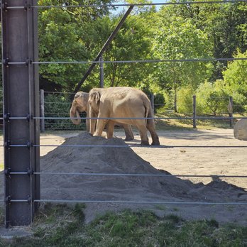 Oregon Zoo - Zoos Near Me - Portland, Oregon