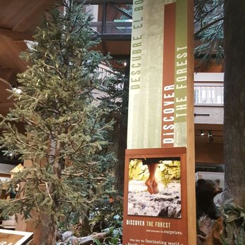 World Forestry Center - Museums Near Me - Portland, Oregon World Forestry Center - Museums Near Me - Portland, Oregon