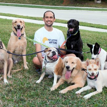Pet Sitters Anytime - Dog Walkers Near Me - Davie, Florida
