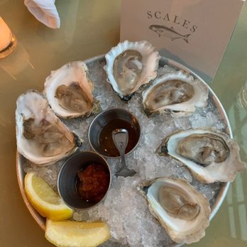 Scales - Divine - Seafood Near Me - Portland, Maine